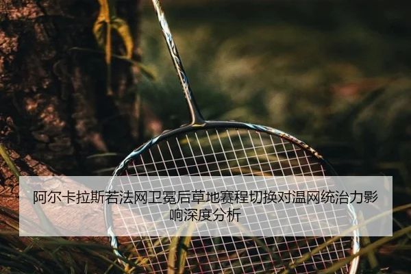 a-er-ka-la-si-ruo-fa-wang-wei-mian-hou-cao-di-sai-cheng-qie-huan-dui-wen-wang-tong-zhi-li-ying-xiang-shen-du-fen-xi-2-657.jpg