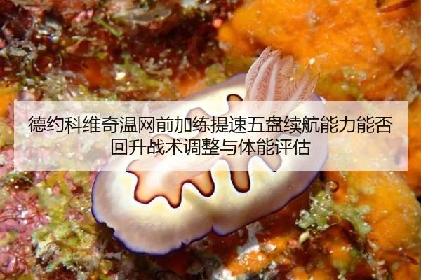 de-yue-ke-wei-qi-wen-wang-qian-jia-lian-ti-su-wu-pan-xu-hang-neng-li-neng-fou-hui-sheng-zhan-shu-tiao-zheng-yu-ti-neng-2-453.jpg