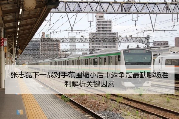 张志磊下一战对手范围缩小后重返争冠最缺哪场胜利解析关键因素