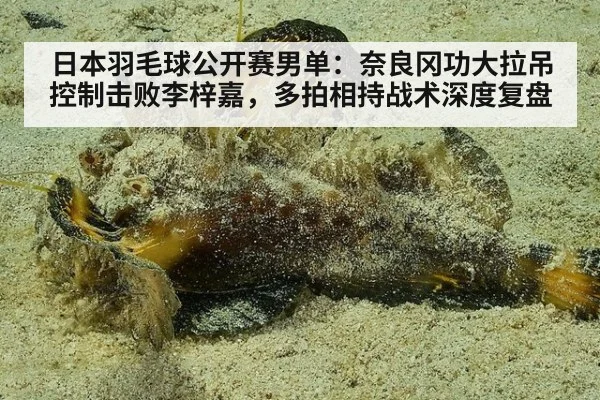 日本羽毛球公开赛男单:奈良冈功大拉吊控制击败李梓嘉,多拍相持战术深度复盘
